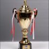 Piala Bergilir Volly Ball Bintang Siang Cup